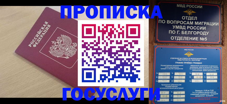 прописка законно в Кохме